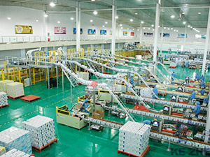 瑞奇特化工包裝流水線