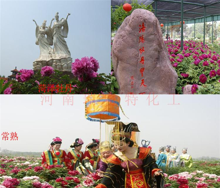 各大牡丹花生產(chǎn)地