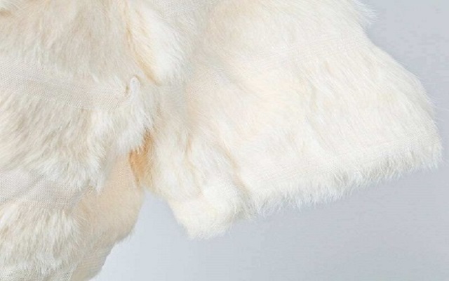 f3f7077047139c7bf3e26eb0b2fb1692 f3f7077047139c7bf3e26eb0b2fb1692